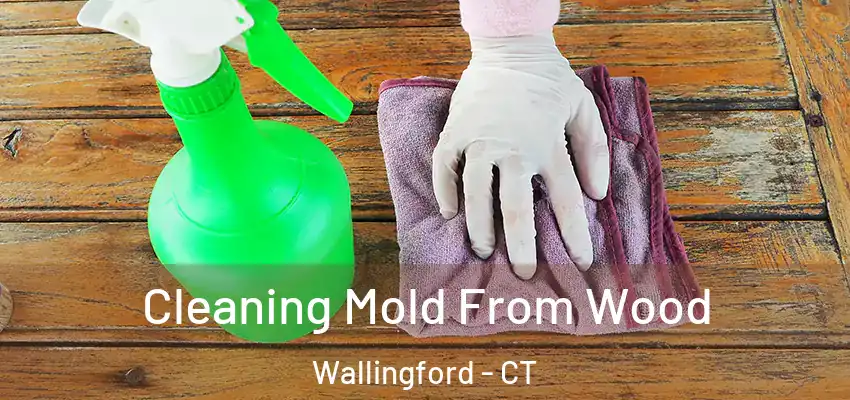  Cleaning Mold From Wood Wallingford - CT