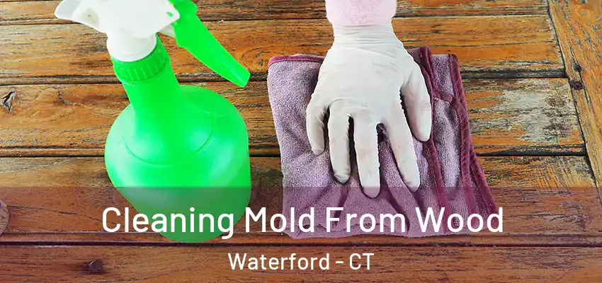  Cleaning Mold From Wood Waterford - CT