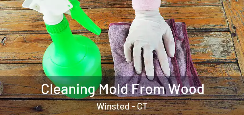  Cleaning Mold From Wood Winsted - CT