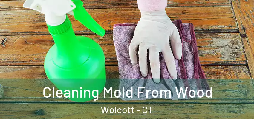  Cleaning Mold From Wood Wolcott - CT