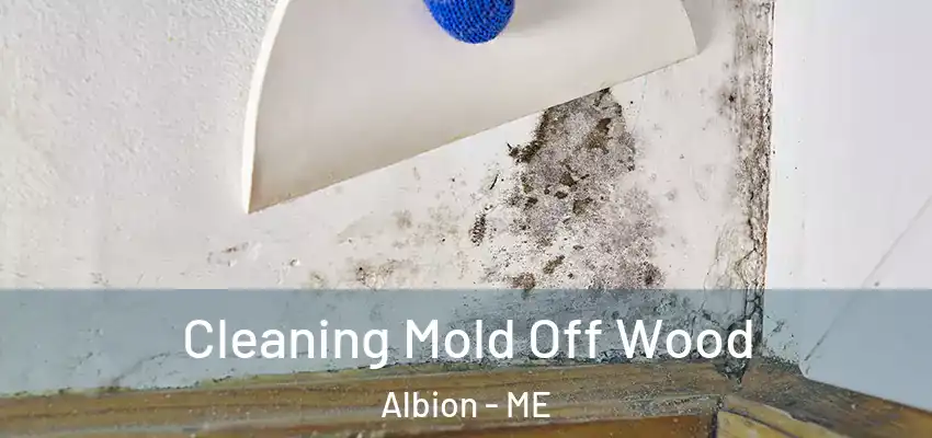  Cleaning Mold Off Wood Albion - ME