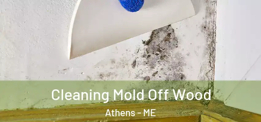  Cleaning Mold Off Wood Athens - ME