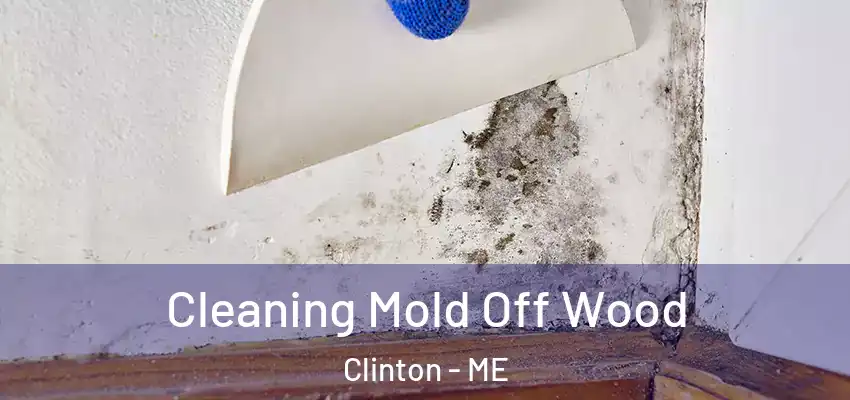  Cleaning Mold Off Wood Clinton - ME