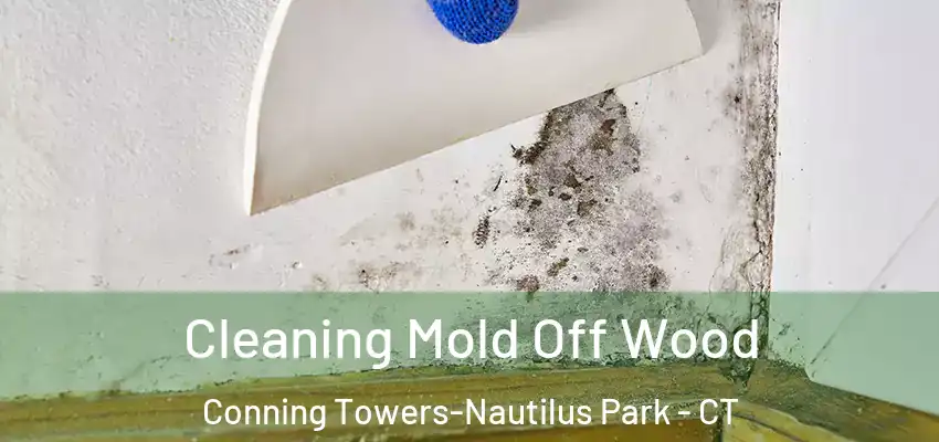 Cleaning Mold Off Wood Conning Towers-Nautilus Park - CT