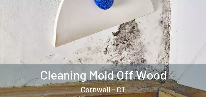  Cleaning Mold Off Wood Cornwall - CT