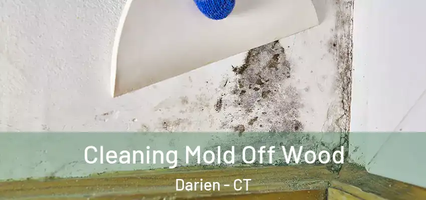  Cleaning Mold Off Wood Darien - CT