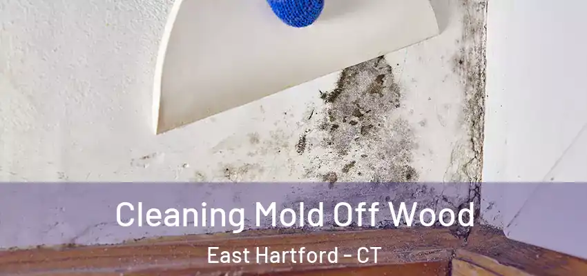 Cleaning Mold Off Wood East Hartford - CT
