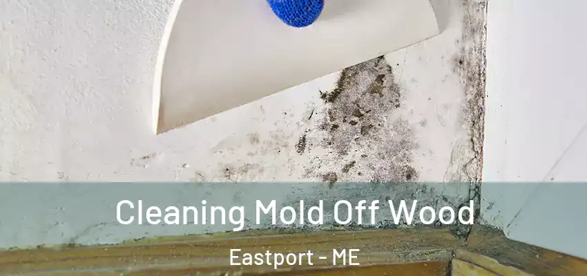Cleaning Mold Off Wood Eastport - ME