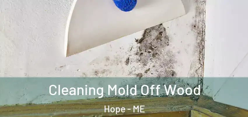 Cleaning Mold Off Wood Hope - ME