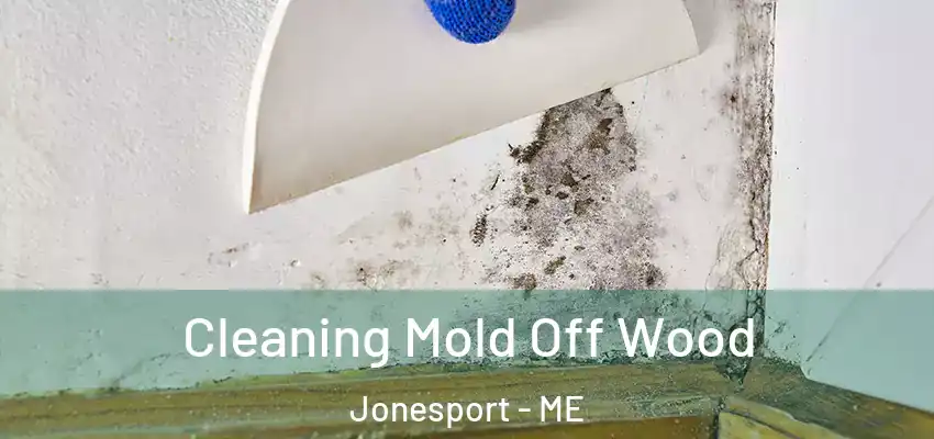  Cleaning Mold Off Wood Jonesport - ME