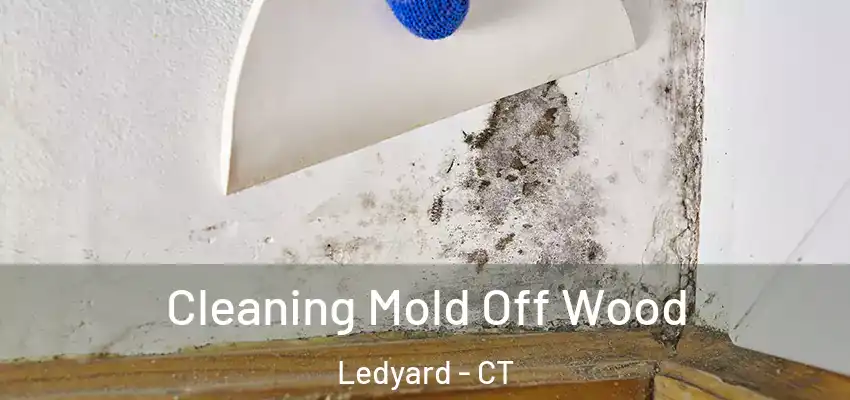  Cleaning Mold Off Wood Ledyard - CT