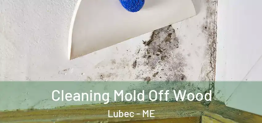 Cleaning Mold Off Wood Lubec - ME