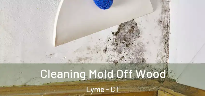 Cleaning Mold Off Wood Lyme - CT