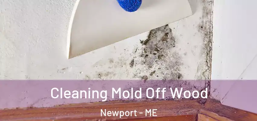  Cleaning Mold Off Wood Newport - ME