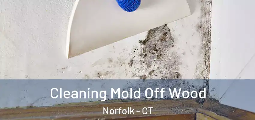  Cleaning Mold Off Wood Norfolk - CT
