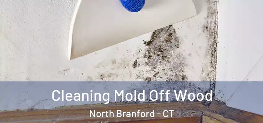  Cleaning Mold Off Wood North Branford - CT