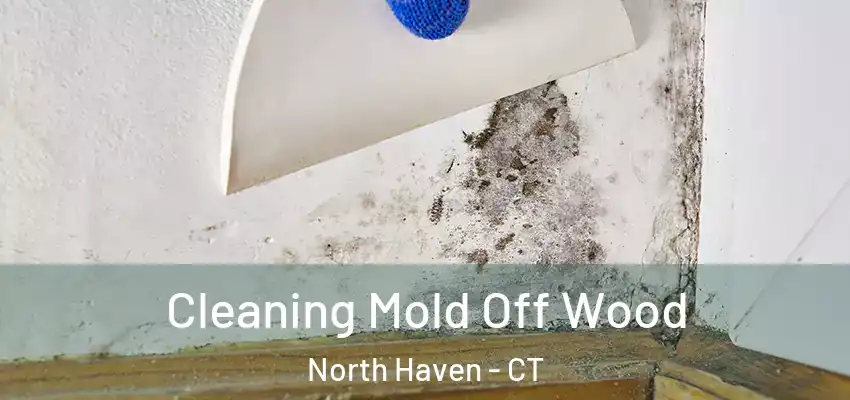 Cleaning Mold Off Wood North Haven - CT