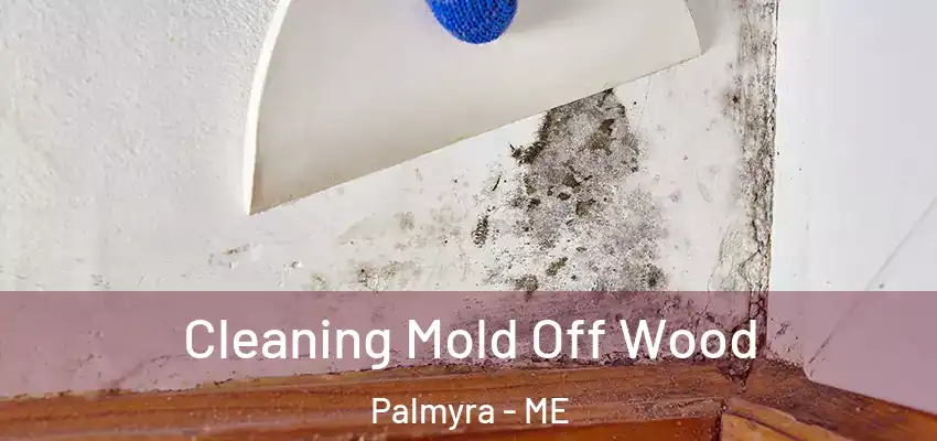 Cleaning Mold Off Wood Palmyra - ME