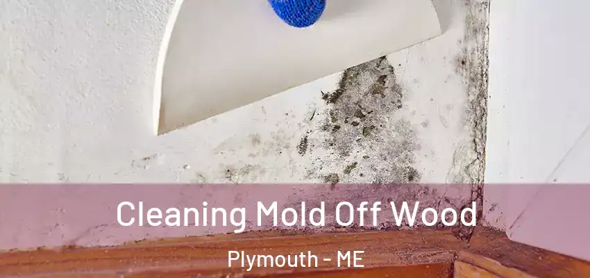  Cleaning Mold Off Wood Plymouth - ME