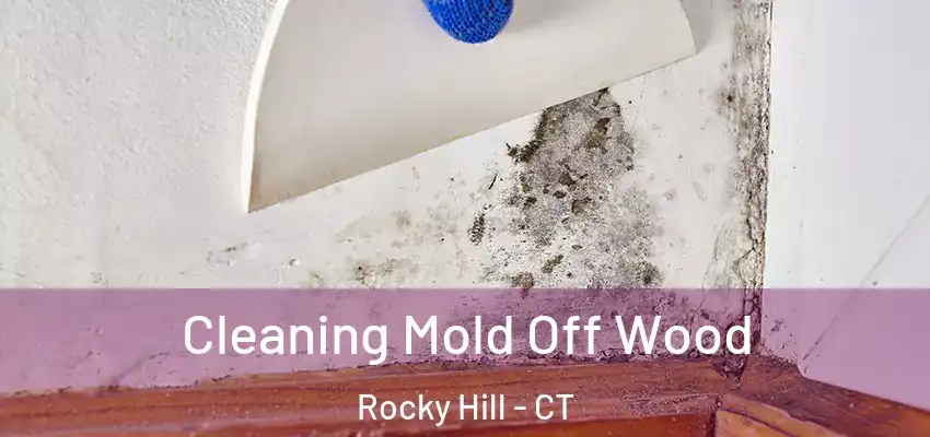 Cleaning Mold Off Wood Rocky Hill - CT