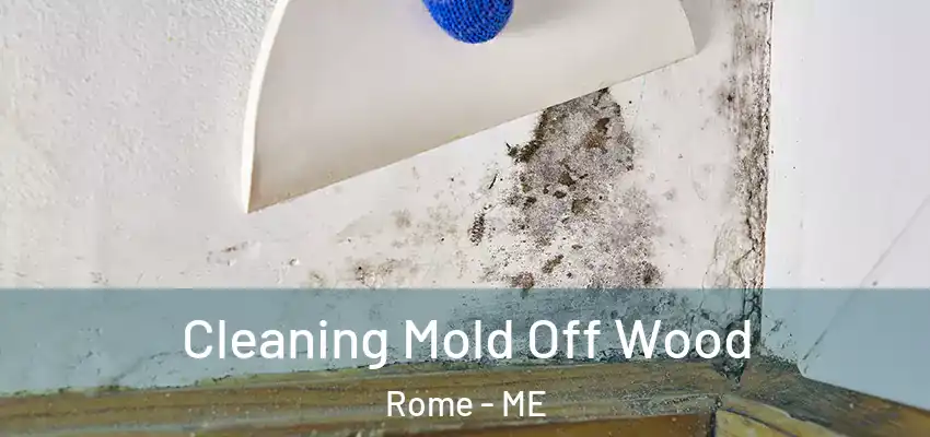 Cleaning Mold Off Wood Rome - ME
