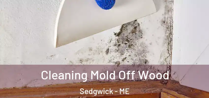 Cleaning Mold Off Wood Sedgwick - ME