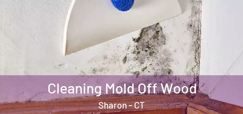  Cleaning Mold Off Wood Sharon - CT