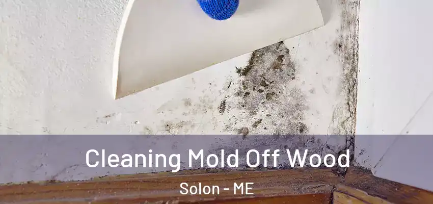  Cleaning Mold Off Wood Solon - ME