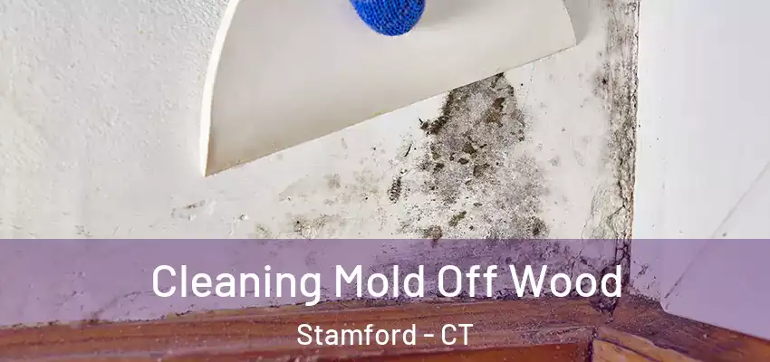  Cleaning Mold Off Wood Stamford - CT