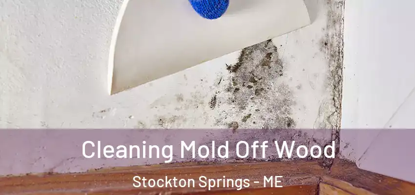  Cleaning Mold Off Wood Stockton Springs - ME