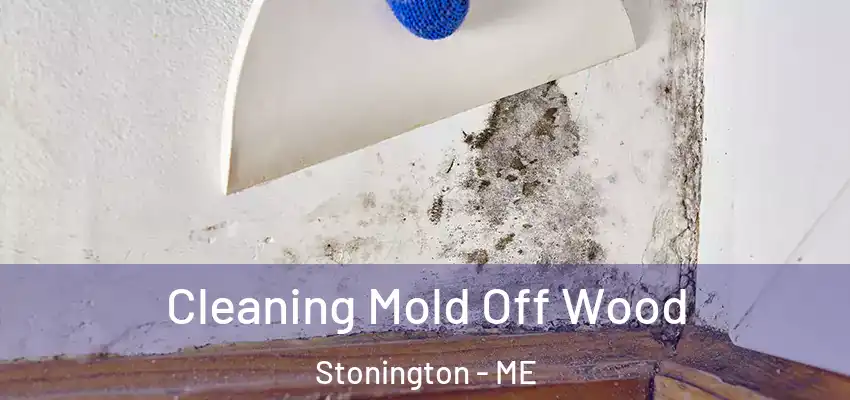  Cleaning Mold Off Wood Stonington - ME