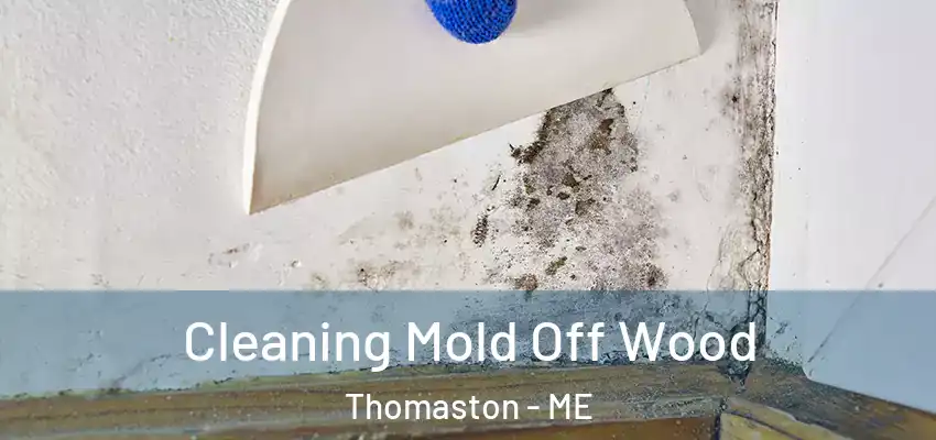 Cleaning Mold Off Wood Thomaston - ME