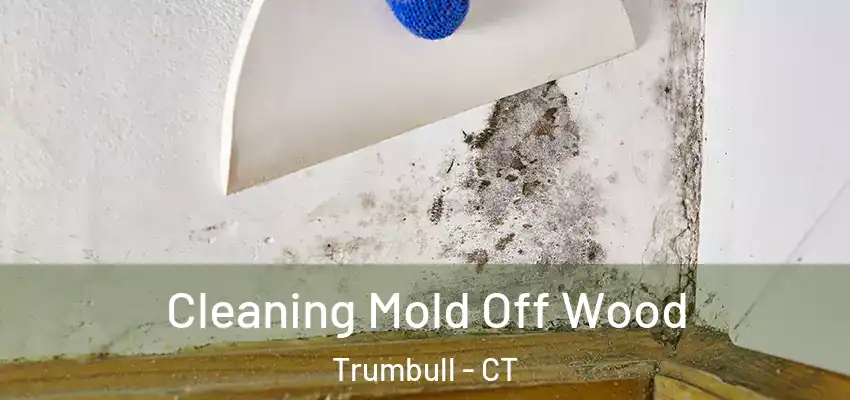  Cleaning Mold Off Wood Trumbull - CT