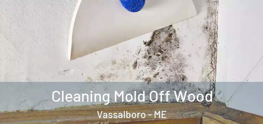  Cleaning Mold Off Wood Vassalboro - ME