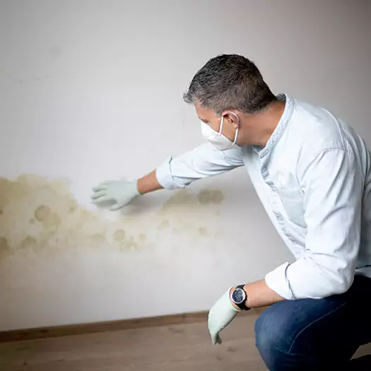 Trusted Mold Remediation and Removal Experts in Hartford, CT