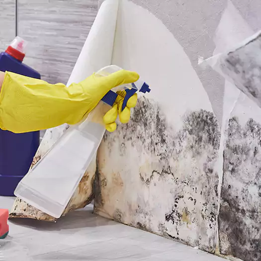 Reliable Mold Abatement Specialists in Hartford, CT