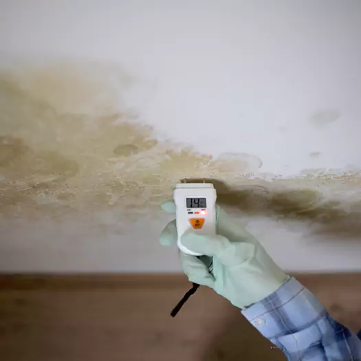 Reliable Mold Inspection Experts in Hartford, CT