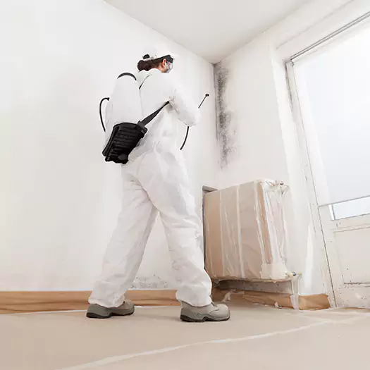 Experienced Mold & Mildew Specialists in Hartford, CT