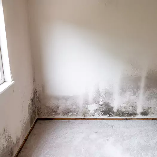 Trusted Mold on the Wall Experts in Hartford, CT