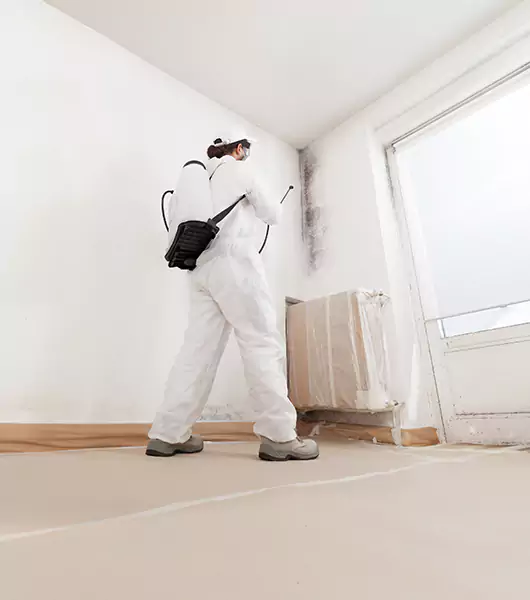 Specialists in All Areas of Mold Remediation and Water Damage Restoration in Hartford, CT