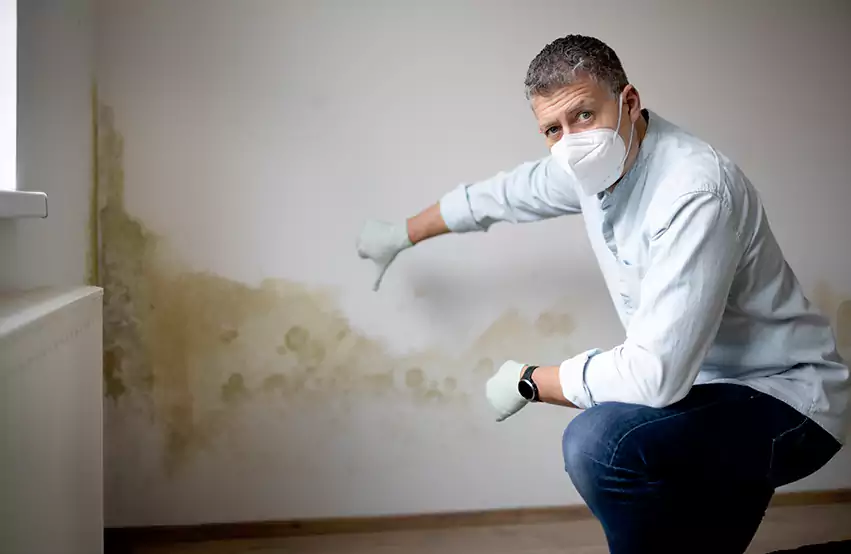 Mold Removal in Hartford, CT