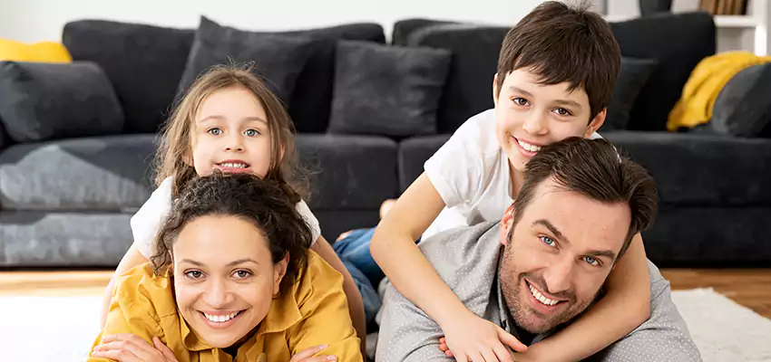 Mold Stain Remover for Wood in Hartford, CT