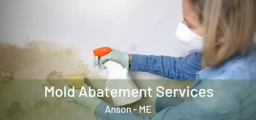  Mold Abatement Services Anson - ME