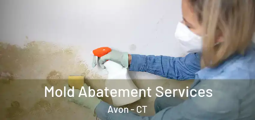  Mold Abatement Services Avon - CT