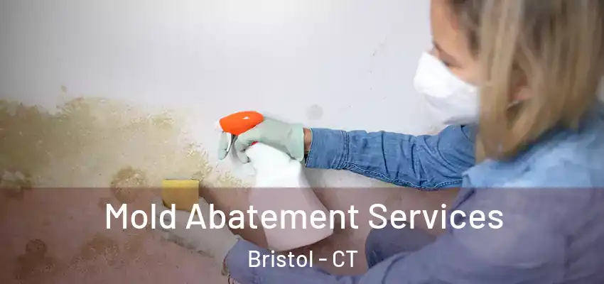 Mold Abatement Services Bristol - CT