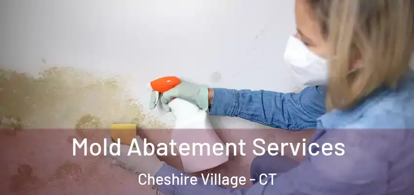 Mold Abatement Services Cheshire Village - CT