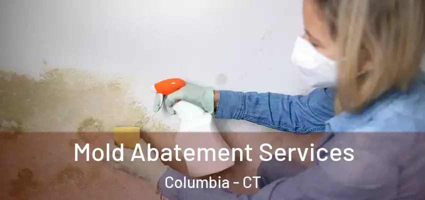 Mold Abatement Services Columbia - CT