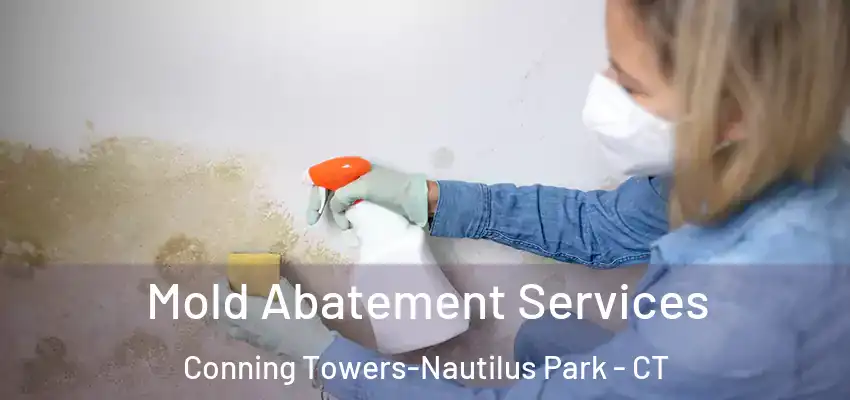 Mold Abatement Services Conning Towers-Nautilus Park - CT