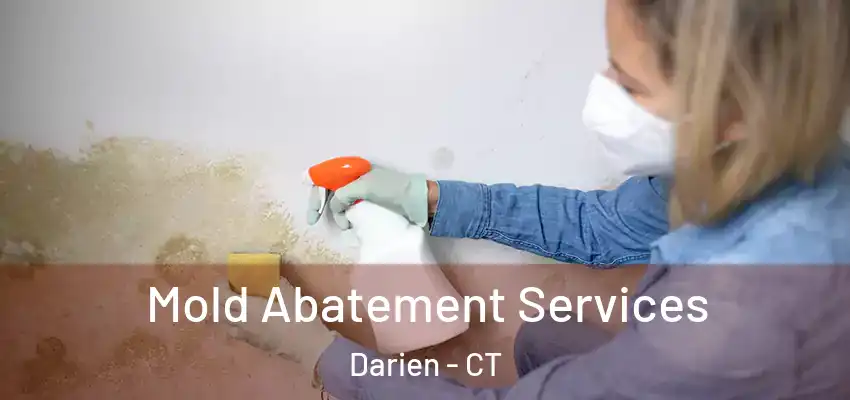  Mold Abatement Services Darien - CT