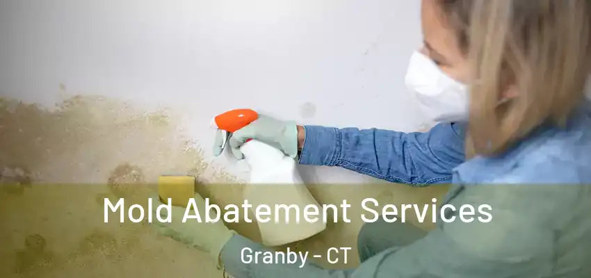  Mold Abatement Services Granby - CT